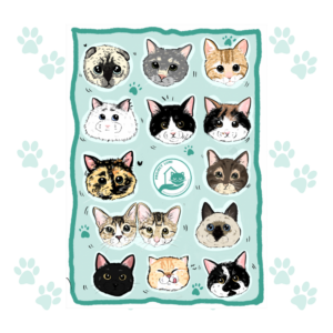 LUNI Cat Stickers update